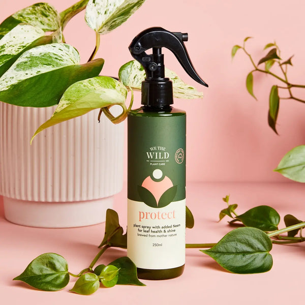 Protect Spray with Neem