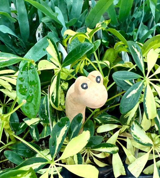 Willy the Terracotta Worm