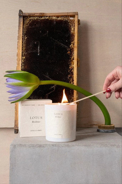 Lotus Candle | Lotus + Honey