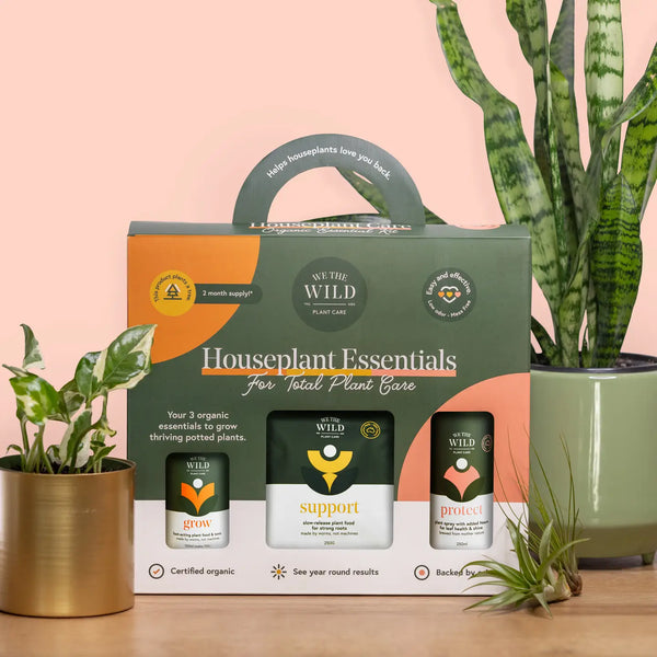 House Plant Care Essentials Kit