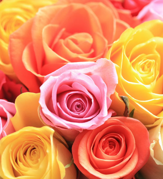 Half Dozen Rose Bouquet